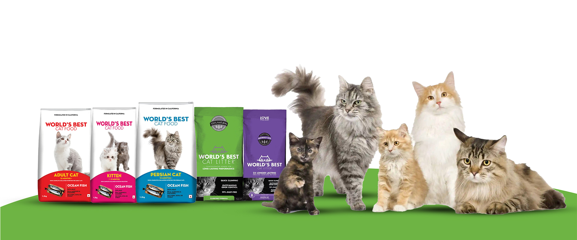 World's Best Cat Litter